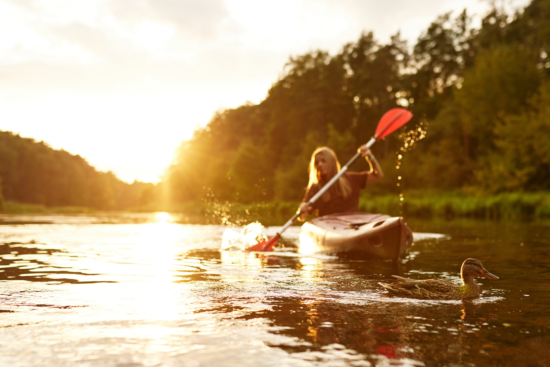 Experience a Serene and Beautiful Kayaking Adventure during Sunset on a Calm River Escapade
