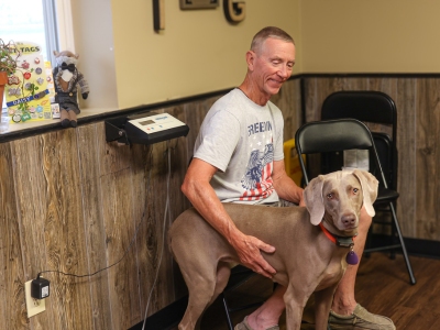 dog visit at vet clinic