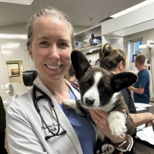 Vet staff holding a puppy