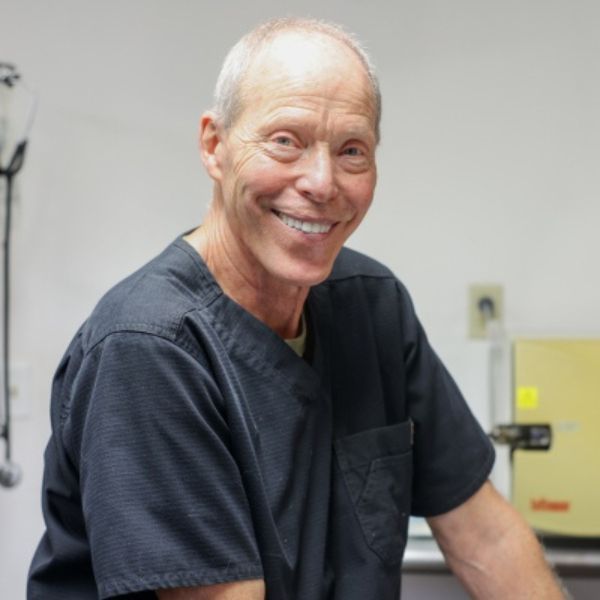 vet staff holding a kitten