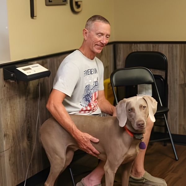 two vet staff and cats wearing e-collars